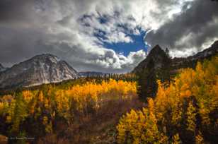 Aspens on Tioga Pass-8903-2